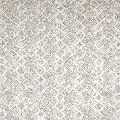 Silver State Cape Town Shell